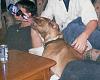 my dog really likes beer-picture-004.jpg
