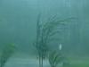 Katrina-050828102700.jpg