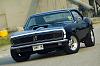 Cardomain-dsc_0016.jpg