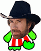 There goes the tumbble-weeds-chuck.gif