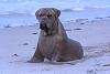 Sweet Animal Pics-allatok_09.jpg