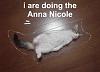 Anna Nicole Smith dies-catannanicole.jpg