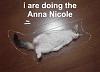 Anna Nicole Smith dies-catannanicole.jpg