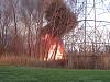 sweet fire-img_2230-medium-.jpg