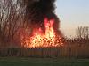 sweet fire-img_2231-medium-.jpg