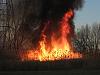 sweet fire-img_2232-medium-.jpg