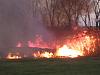 sweet fire-img_2235-medium-.jpg