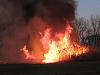 sweet fire-img_2236-medium-.jpg