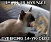 Gotta do it, these things crack me up.-97839.jpg