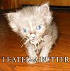 Gotta do it, these things crack me up.-butter.jpg