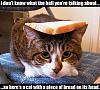 Gotta do it, these things crack me up.-breadcat.jpg