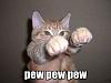 Gotta do it, these things crack me up.-pewpewpewzs5.jpg