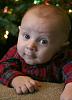 Hey Guys!-xmasmini1.jpg