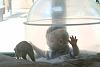 Pics of the baby..-zoo-june-2008-093.jpg