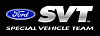 SVT Is Alive and Kicking!-svtlogo.gif
