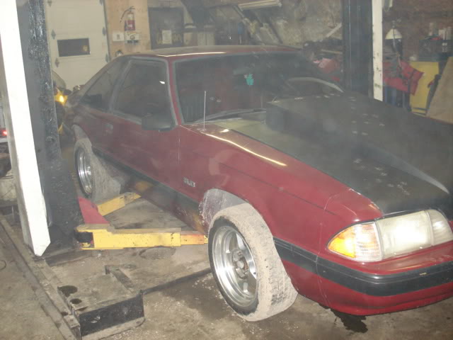 Name: tires003.jpg
Views: 42
Size: 46.8 KB