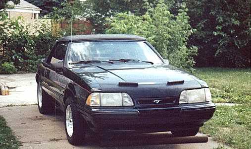 Name: 88stangpic2.jpg
Views: 10
Size: 29.8 KB