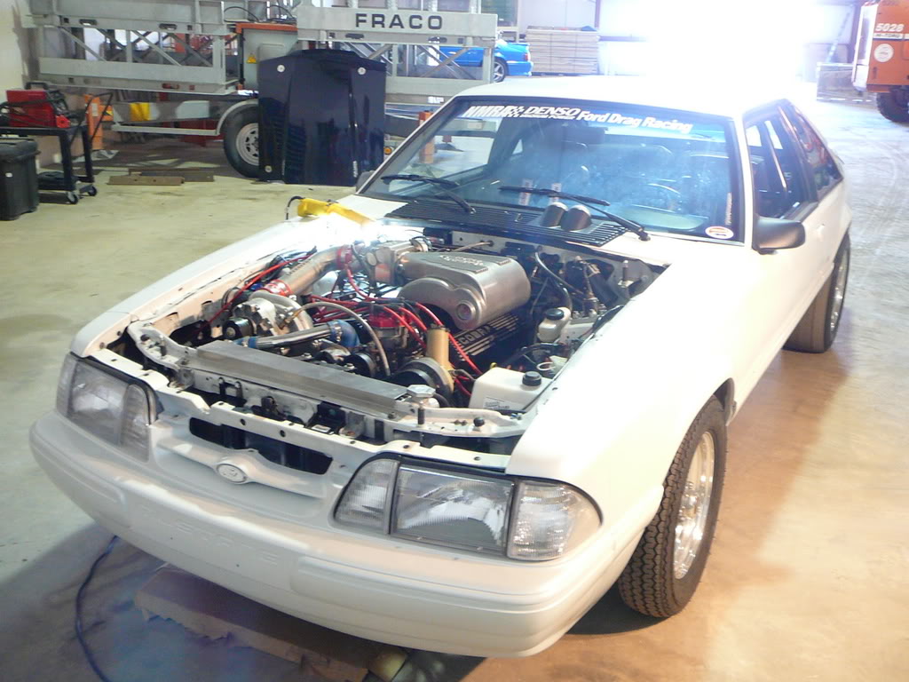Name:  P1010327.jpg
Views: 9
Size:  128.4 KB