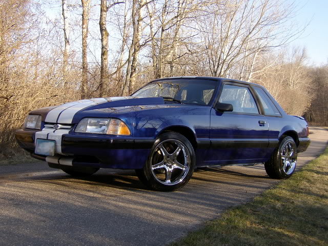 Name:  05ssfw.jpg
Views: 43
Size:  104.1 KB