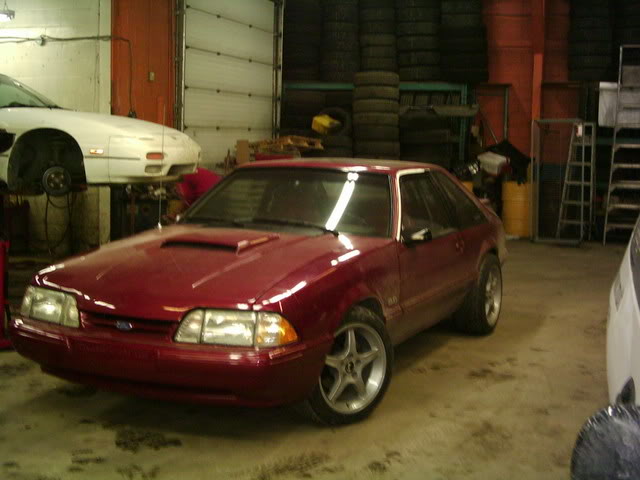 Name: PHTfO0007.jpg
Views: 47
Size: 44.7 KB