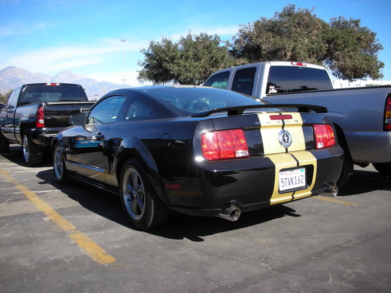 Name:  Picture056.jpg
Views: 16
Size:  101.7 KB