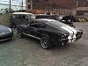 Mustang Rice?????-rbmustang1.jpg