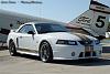 Pics: Roush and Others-04_roush380r_w7_4.jpg