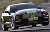 New Shelby Mustang for Hertz-hertz-2.jpg