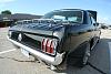 My wonderful new mustang fan!-1.jpg
