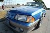 My wonderful new mustang fan!-2.jpg