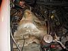 Fred's infamous engine bay :(-dsc00003.jpg
