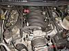 Fred's infamous engine bay :(-dsc00004.jpg