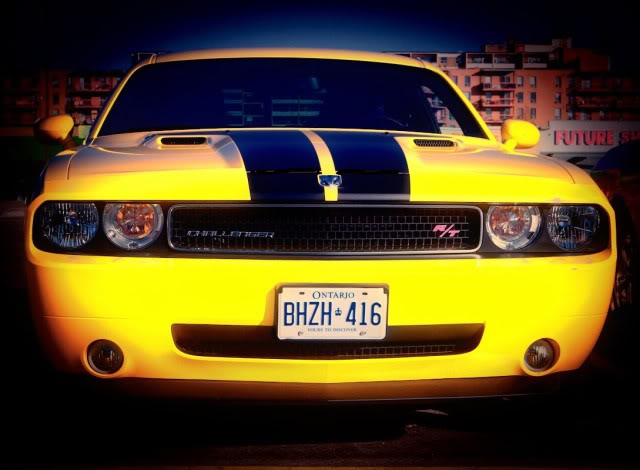 Name: mellowyellow-1.jpg
Views: 22
Size: 49.4 KB