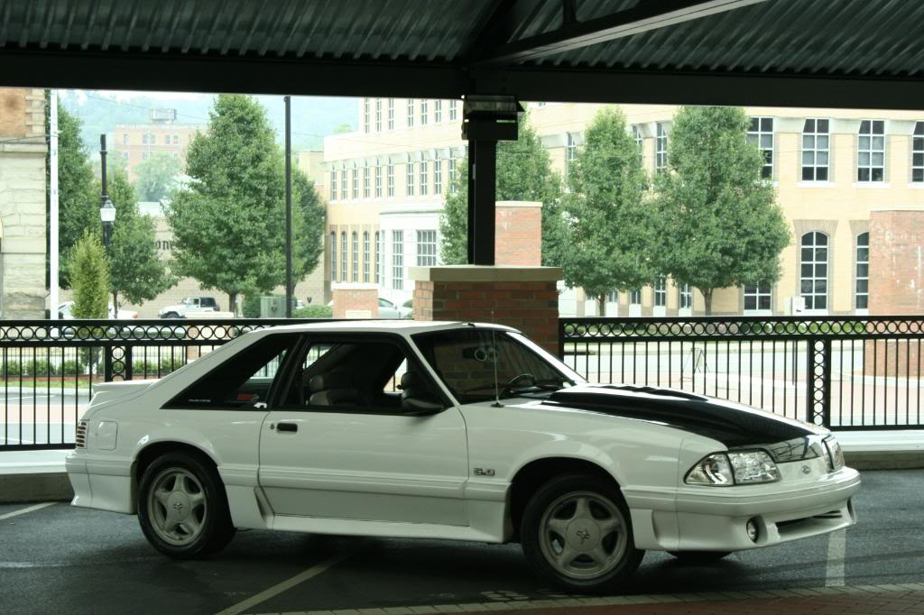 Name:  _MG_8843.jpg
Views: 15
Size:  120.3 KB