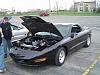 New to the site-dsc09347.jpg