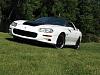 Another New Guy-i-img_1539.jpg