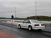 Im new from Oakville-testntunetmpoct9064-vi.jpg
