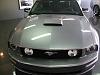 Newbie From OZ-155-5592a_img.jpg