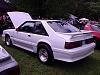 Hi Guys-picture-073.jpg