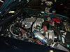 Hi Guys-p1080361.jpg