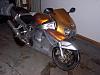 1998 CBR 900 RR For sale..Or trade.-100_4126.jpg