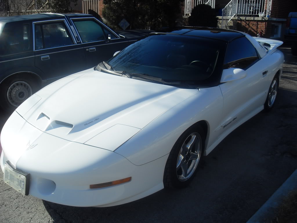 Name:  SDC10117.jpg
Views: 13
Size:  123.0 KB