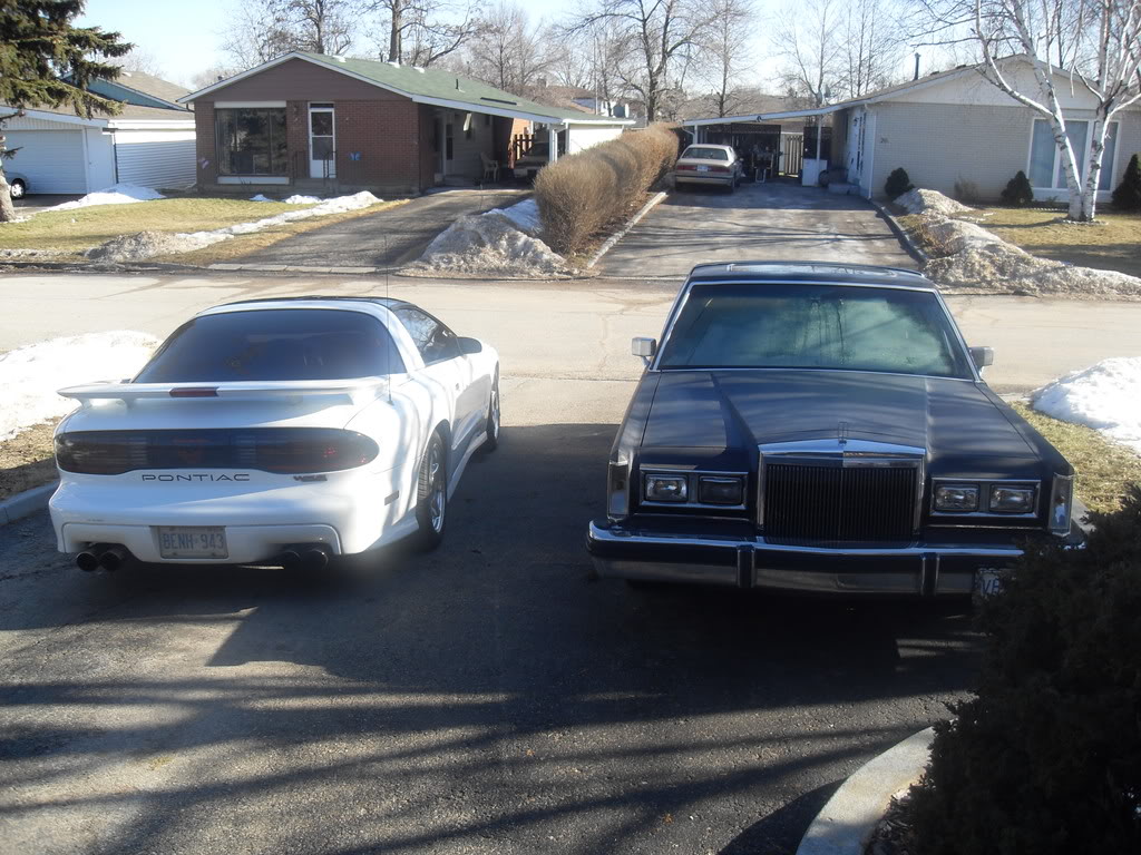 Name:  SDC10128.jpg
Views: 14
Size:  199.6 KB