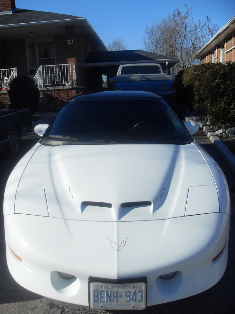 Name:  SDC10131.jpg
Views: 17
Size:  122.4 KB