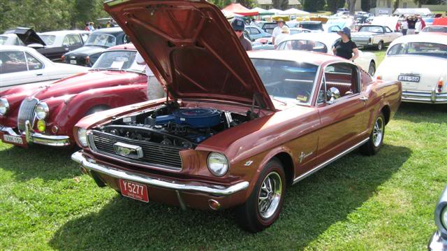 Name: HighlandMotorfest20075.jpg
Views: 16
Size: 55.1 KB
