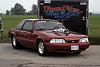 J &amp; P Reunion Shootout Pic's-blown-fox.jpg