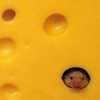Cheese