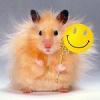 Smil1
